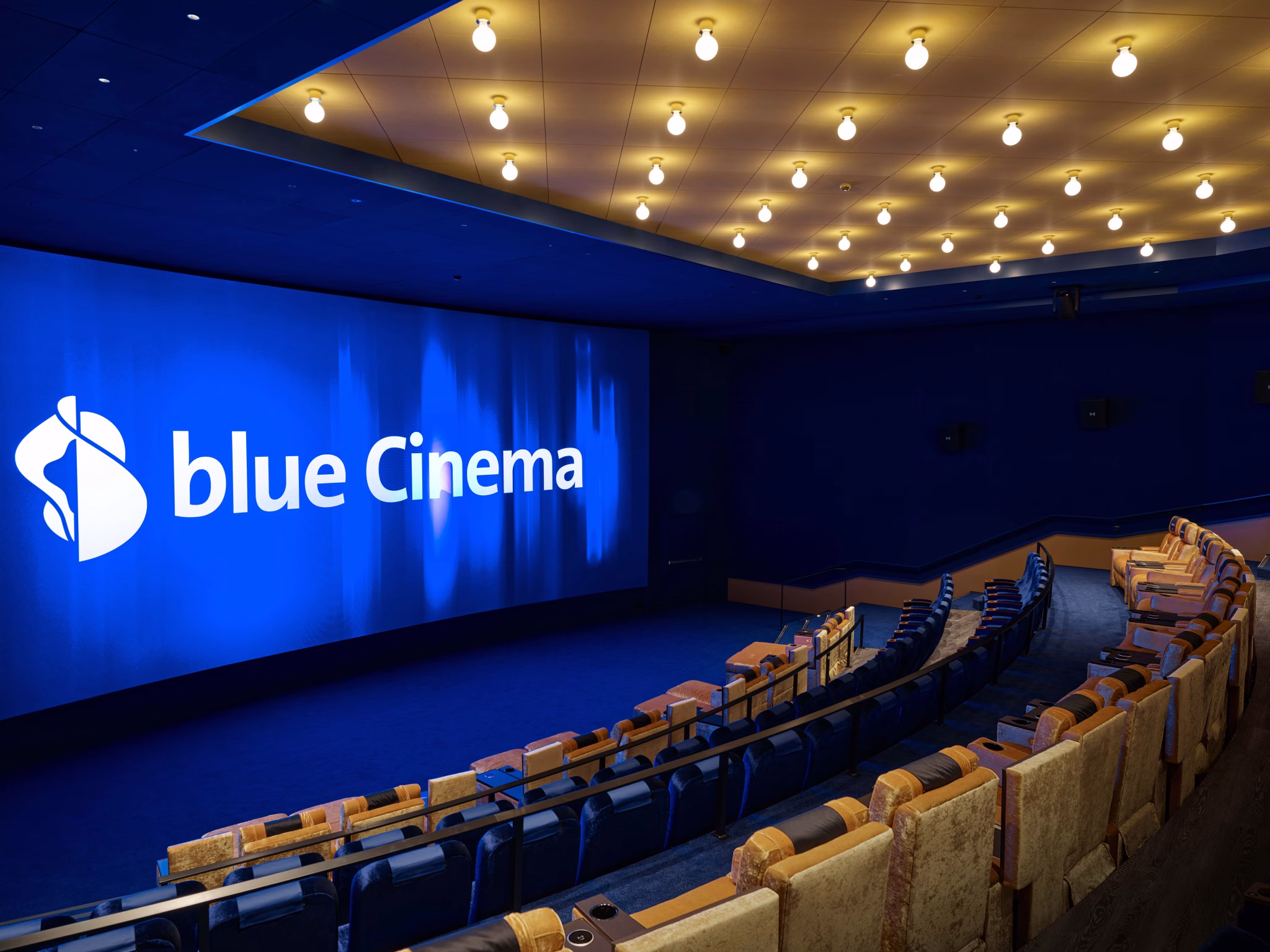 blue Cinema Portfolio